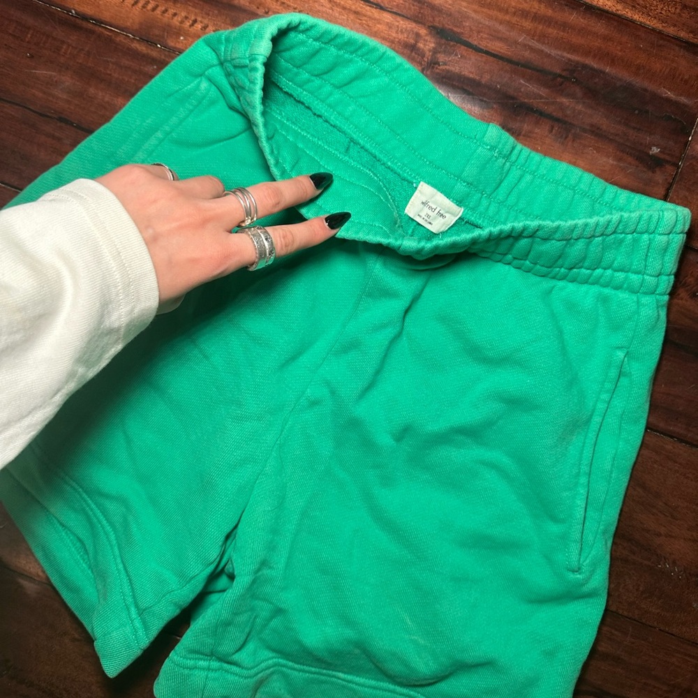 Wilfred free aritzia shorts